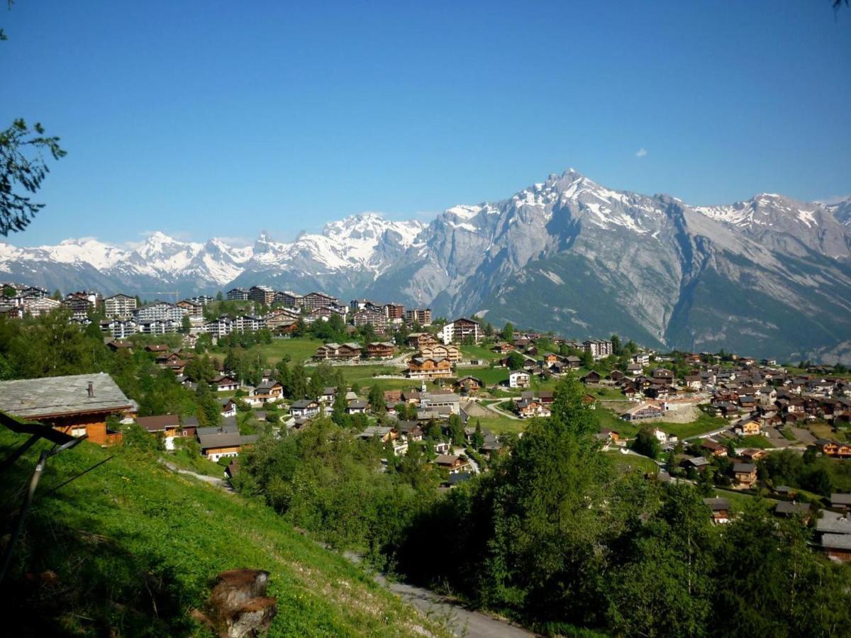 Pracondu Outdoor & Fun Appartement 1 Chambre Avec Balcon By Alpvision Residences Nendaz Exterior photo