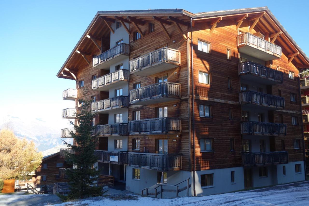 Pracondu Outdoor & Fun Appartement 1 Chambre Avec Balcon By Alpvision Residences Nendaz Exterior photo
