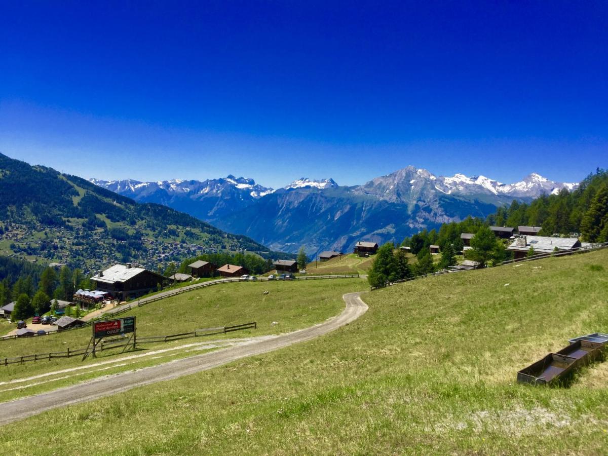 Pracondu Outdoor & Fun Appartement 1 Chambre Avec Balcon By Alpvision Residences Nendaz Exterior photo